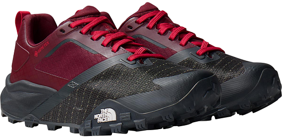 Кроссовки женские The North Face Offtrail TR Gtx Alpine Plum/Asp - Фото 2 большая