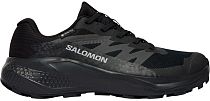 Кроссовки женские Salomon Alphaglide Gtx Black/Asphalt/Castlerock
