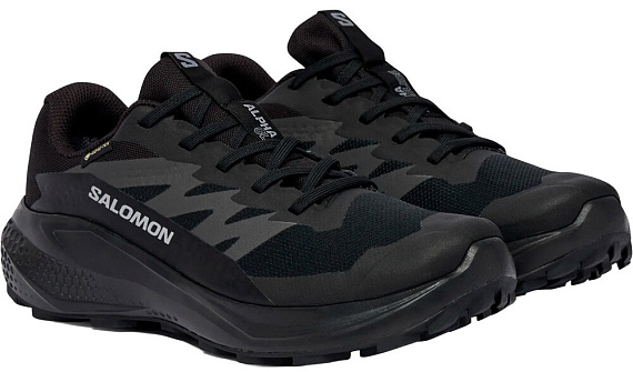 Кроссовки женские Salomon Alphaglide Gtx Black/Asphalt/Castlerock - Фото 3 большая