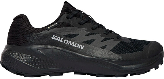 Кроссовки женские Salomon Alphaglide Gtx Black/Asphalt/Castlerock - Фото 1 большая