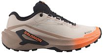 Кроссовки женские Salomon Genesis 2 Gtx Rainy Day/Desert Tan