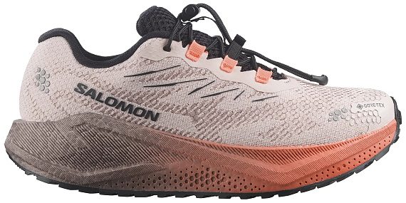 Кроссовки женские Salomon Aero Blaze 4 Grvl Gtx Rainy Day/Black - Фото 1 большая