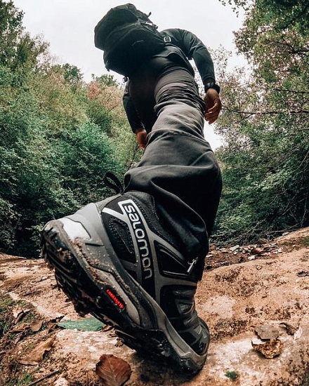 Кроссовки мужские Salomon X Ultra 3 Gtx Urban Chic/Shad - Фото 2 большая