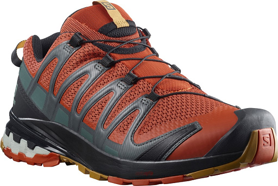 Кроссовки мужские Salomon Xa Pro 3D V8 Rooibos Tea/Black - Фото 1 большая