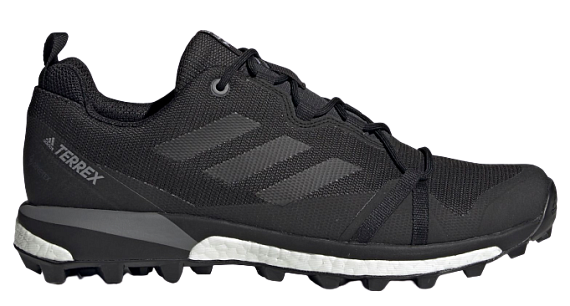 Кроссовки мужские Adidas Terrex Skychaser Lt Gtx Carbon/Cblack/Grefou - Фото 1 большая