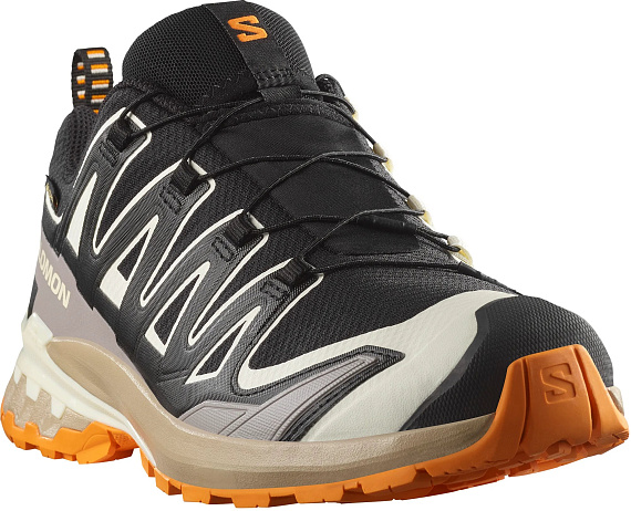 Кроссовки мужские Salomon Xa Pro 3D V9 Gtx Black/Vanilla Ice/Turmeric - Фото 5 большая