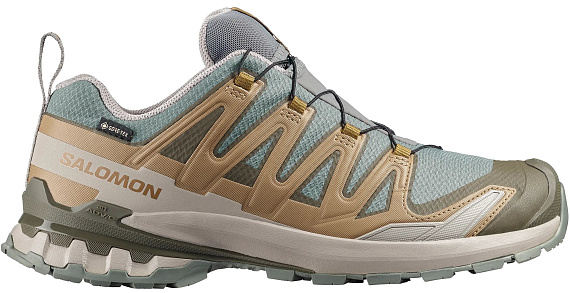 Кроссовки мужские Salomon Xa Pro 3D V9 Gtx Sedona Sage/Plantation/Paloma - Фото 1 большая