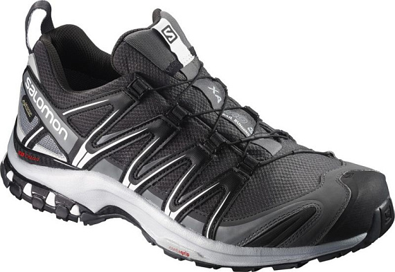 Кроссовки Salomon Xa Pro 3D Gtx Magnet/Bk/Pearl - Фото 1 большая