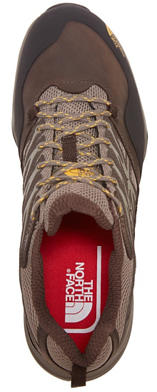 Кроссовки мужские The North Face M HEDGEHOG HIKE GTX MOREL BROWN/TNF - Фото 3 большая