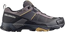 Кроссовки мужские Salomon X Ultra 5 Gtx Dark Gull Gray/Asphalt/Willow