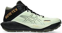 Кроссовки мужские ASICS Gel-Trabuco Mt Gtx Whisper Green/Mantle Green