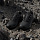 Кроссовки мужские Adidas Terrex Skychaser Ax5 Cblack/Cblack/Carbon - Фото 6 малая