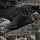 Кроссовки мужские Adidas Terrex Skychaser Ax5 Cblack/Cblack/Carbon - Фото 8 малая
