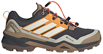 Кроссовки мужские Adidas Terrex Skychaser Gtx Carbon/Owhite/Puta