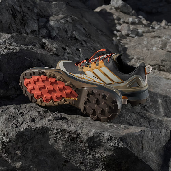 Кроссовки мужские Adidas Terrex Skychaser Gtx Carbon/Owhite/Puta - Фото 4 большая