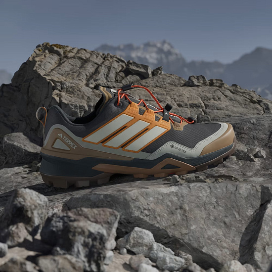 Кроссовки мужские Adidas Terrex Skychaser Gtx Carbon/Owhite/Puta - Фото 3 большая