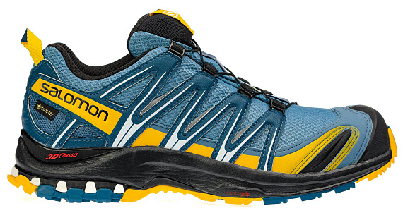 Salomon Xa Pro 3D Gtx Bluestone/India 