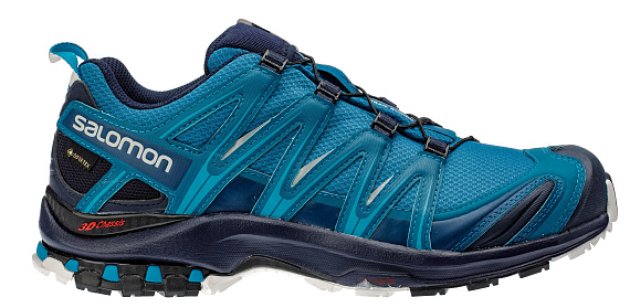 Кроссовки мужские Salomon XA Pro 3D GTX Lyons /Navy Blaz - Фото 1 большая