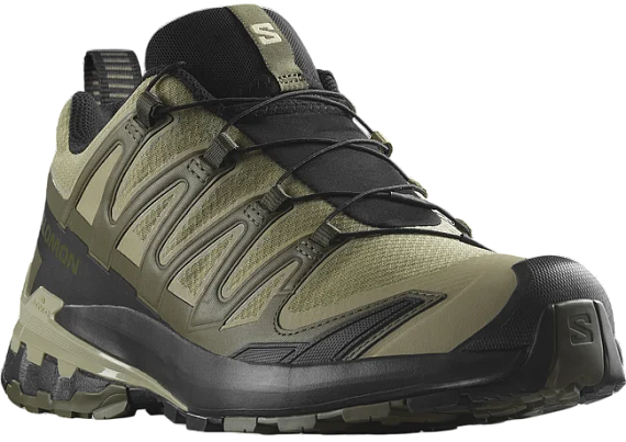 Кроссовки мужские Salomon Xa Pro 3D V9 Gtx Dried Herb/Black/Olive Night - Фото 3 большая