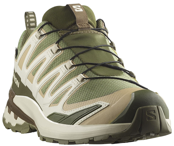 Кроссовки мужские Salomon Xa Pro 3D V9 Gtx Deep Lichen Green/Safari/Dark Earth - Фото 3 большая