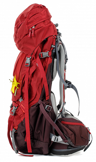 Рюкзак Deuter Aircontact Pro 55+15 SL Cranberry-aubergine - Фото 2 большая