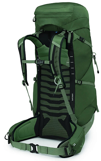 Рюкзак Osprey Talon 44 Green Canopy/Pine Leaf - Фото 2 большая