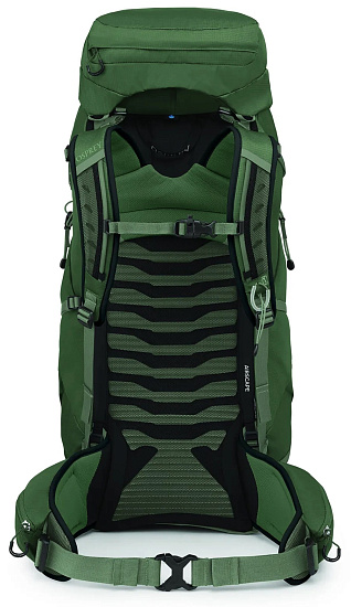 Рюкзак Osprey Talon 44 Green Canopy/Pine Leaf - Фото 4 большая
