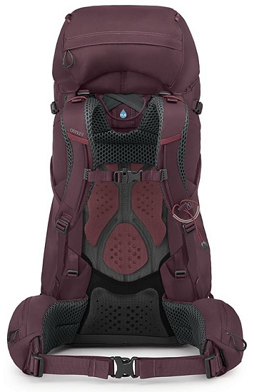 Рюкзак женский Osprey Kyte 58 Elderberry Purple - Фото 3 большая
