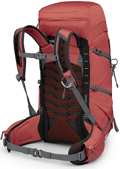 Рюкзак женский Osprey Tempest 33 Red Pampas/Coal Grey - Фото 2 большая