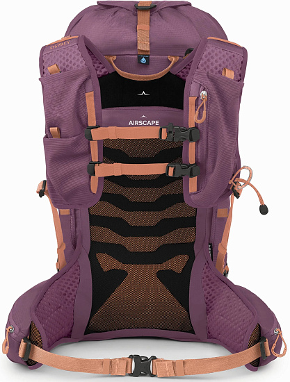 Рюкзак женский Osprey Tempest Velocity 30 Pashmina/Melon - Фото 4 большая