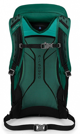 Рюкзак Osprey HIkelite 32 Aloe Green - Фото 4 большая