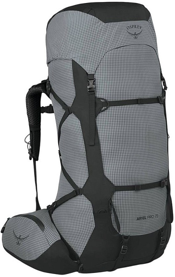 Рюкзак женский Osprey Ariel Pro 75 Silver Lining - Фото 1 большая
