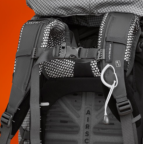 Рюкзак женский Osprey Ariel Pro 75 Silver Lining - Фото 6 большая