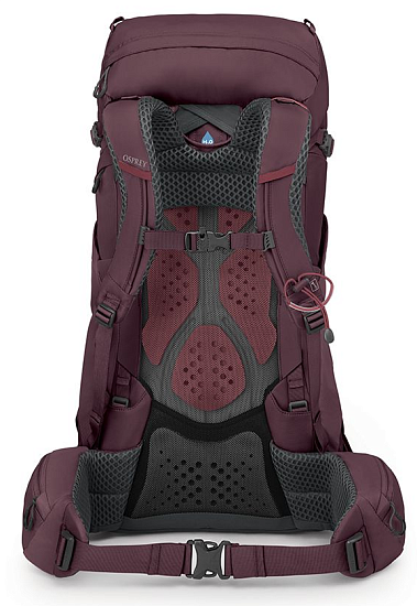 Рюкзак женский Osprey Kyte 38 Elderberry Purple - Фото 3 большая