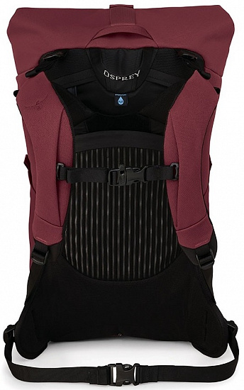Рюкзак женский Osprey Archeon 25 Mud Red - Фото 3 большая