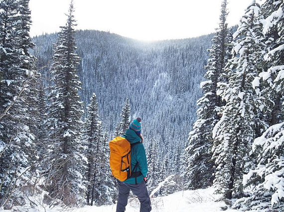Рюкзак Arcteryx Brize 32 Tatsu - Фото 11 большая