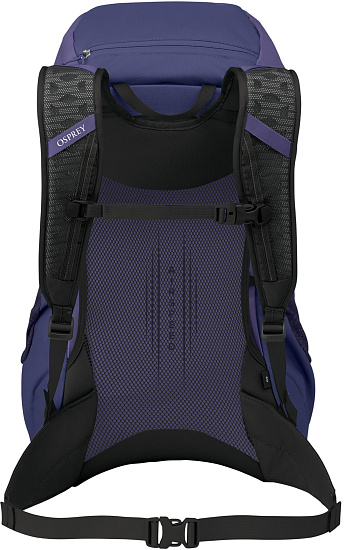 Рюкзак Osprey Hikelite Lt 30 Botswana Purple - Фото 3 большая