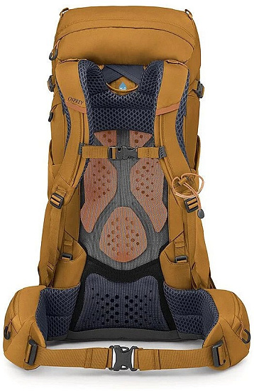 Рюкзак женский Osprey Kyte 38 Barley Brown - Фото 4 большая