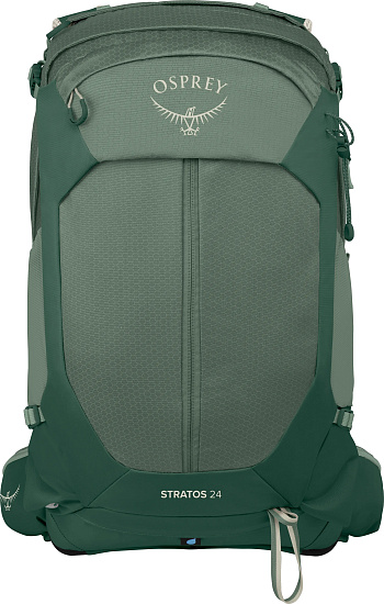 Рюкзак Osprey Stratos 24 Pine Leaf Green - Фото 3 большая