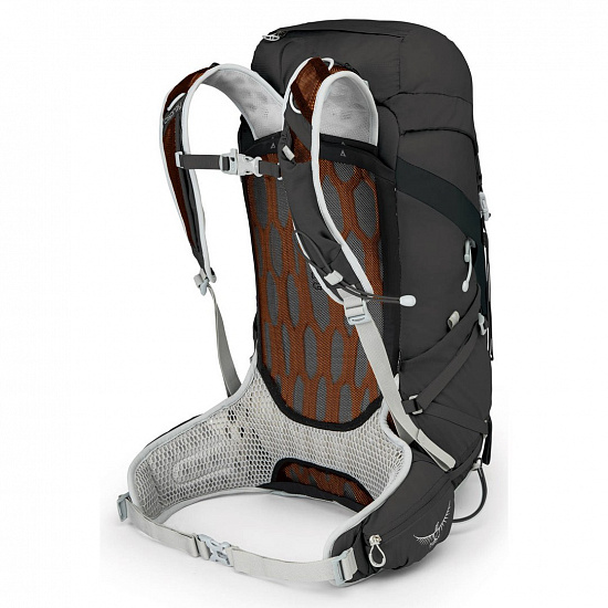 Рюкзак Osprey Talon 33 Black - Фото 2 большая