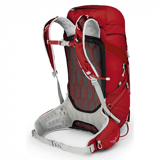 Рюкзак Osprey Talon 33 Martian Red - Фото 2 большая