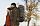 Рюкзак Fjallraven Singi 48 Dark Olive - Фото 16 малая