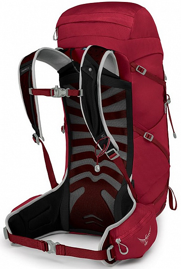 Рюкзак Osprey Talon 33 Cosmic Red - Фото 2 большая