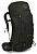 Рюкзак Osprey Kestrel 48 Picholine Green - Фото 1 малая