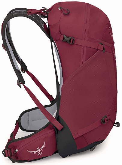 Рюкзак Osprey Hikelite 28 Chameleon/Black - Фото 5 большая