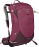 Рюкзак женский Osprey Sirrus 24 Elderberry Purple/Chiru Tan - Фото 1 малая