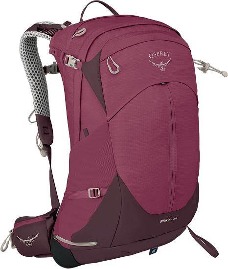 Рюкзак женский Osprey Sirrus 24 Elderberry Purple/Chiru Tan - Фото 1 большая