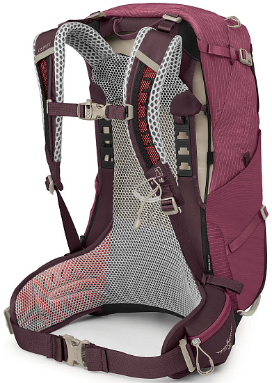 Рюкзак женский Osprey Sirrus 24 Elderberry Purple/Chiru Tan - Фото 3 большая