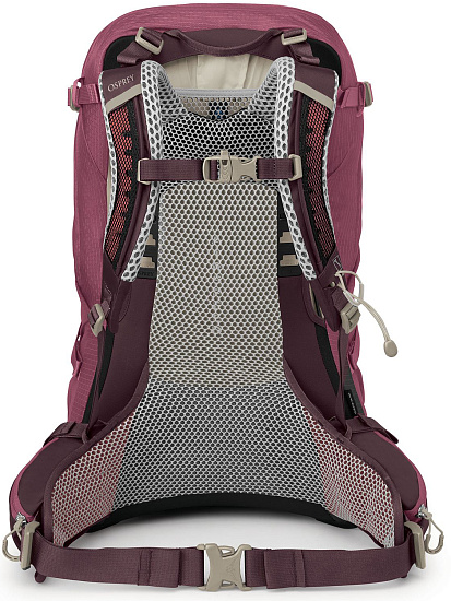 Рюкзак женский Osprey Sirrus 24 Elderberry Purple/Chiru Tan - Фото 4 большая