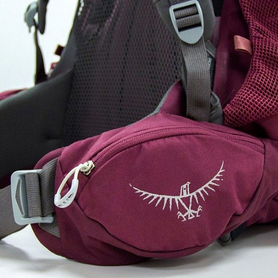 Рюкзак женский Osprey Renn 65 Cinder Grey - Фото 11 большая
